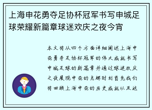 上海申花勇夺足协杯冠军书写申城足球荣耀新篇章球迷欢庆之夜今宵