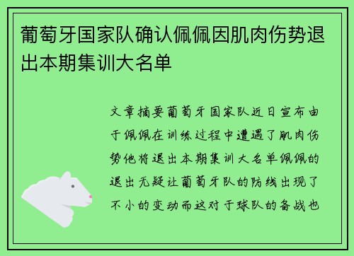 葡萄牙国家队确认佩佩因肌肉伤势退出本期集训大名单
